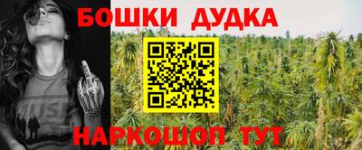 МДПВ Пенза