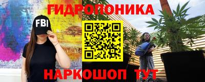 МДПВ Пенза