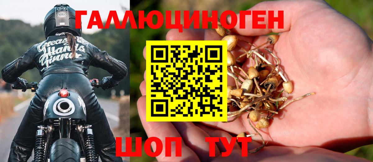 Псилоцибиновые грибы MAGIC MUSHROOMS  Вход с VPN  Белгород  Галлюциногенные грибы мицелий 