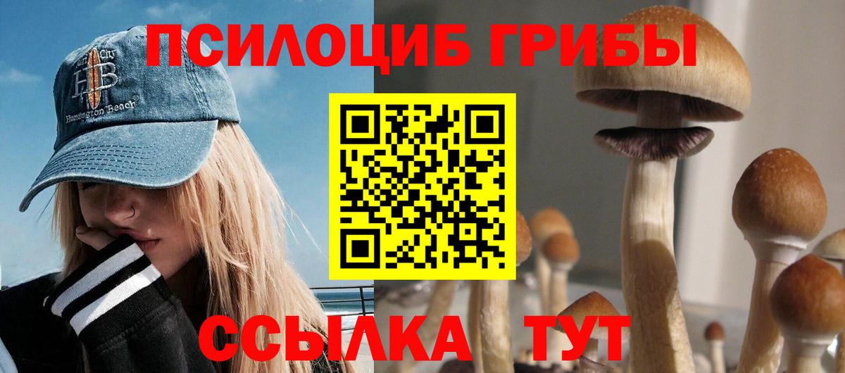 Псилоцибиновые грибы прущие грибы Белгород